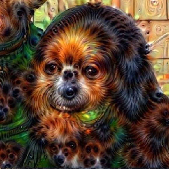 Meet your Posher, Omeed - Picture 1 of 1